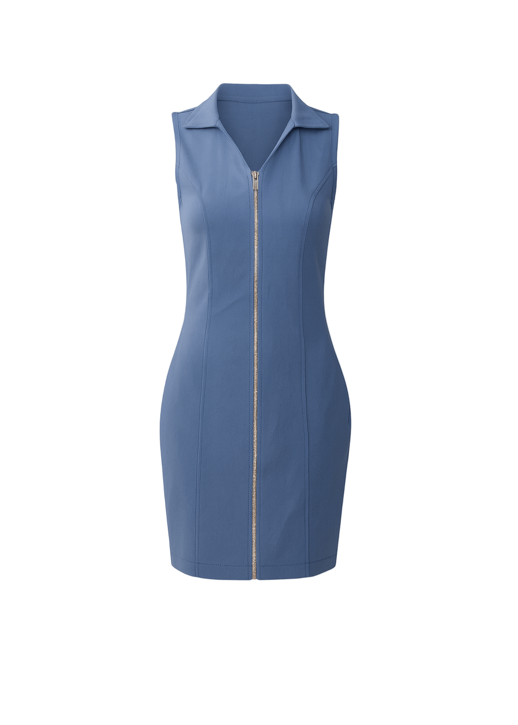 Avinci tailored sleeveless collar detail front zipper day dress front view