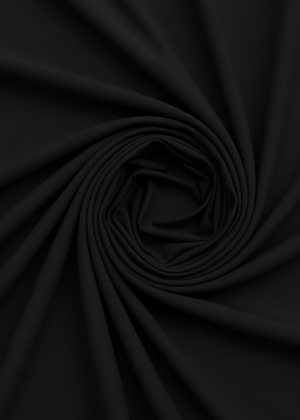 Black Fitted Long Sleeve A-Line Style Mini Dress