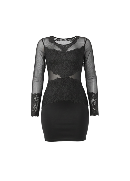 Black Sheer Mesh Lace Detail Bodycon Mini Dress