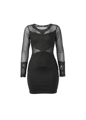 Black Sheer Mesh Lace Detail Bodycon Mini Dress