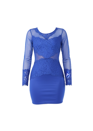 Royal Blue Sheer Mesh Lace Detail Bodycon Mini Dress