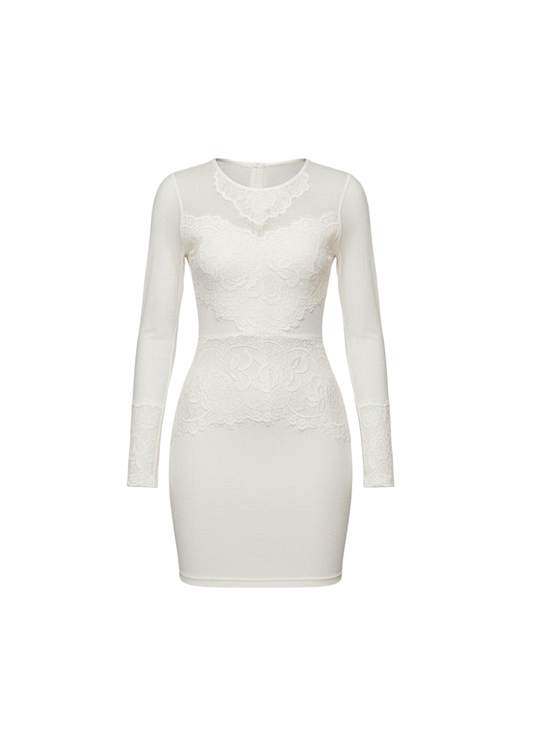 White Sheer Mesh Lace Detail Bodycon Mini Dress
