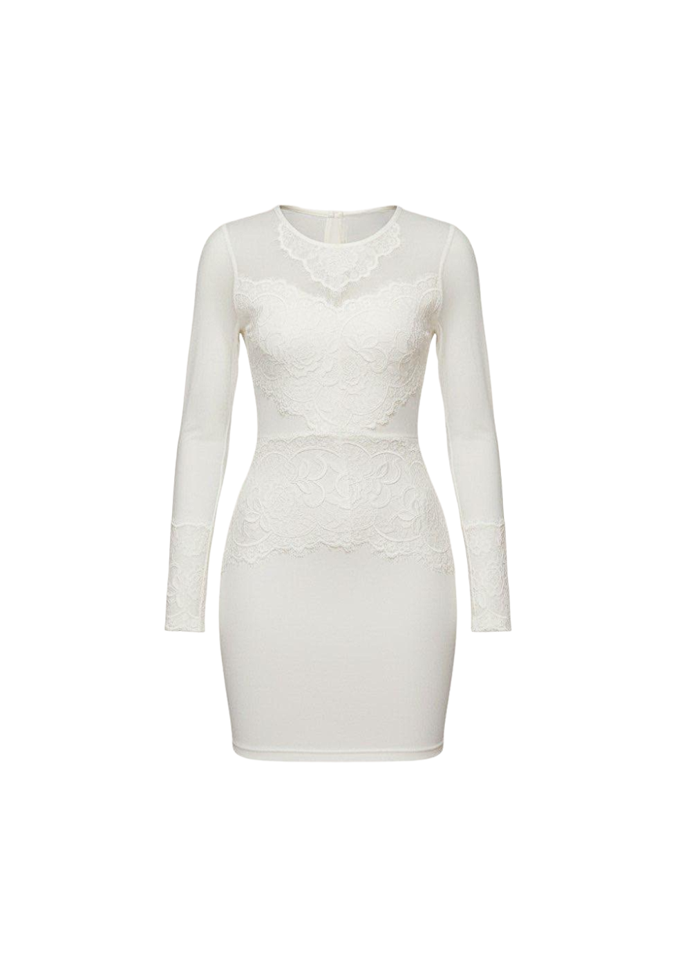 White Sheer Mesh Lace Detail Bodycon Mini Dress