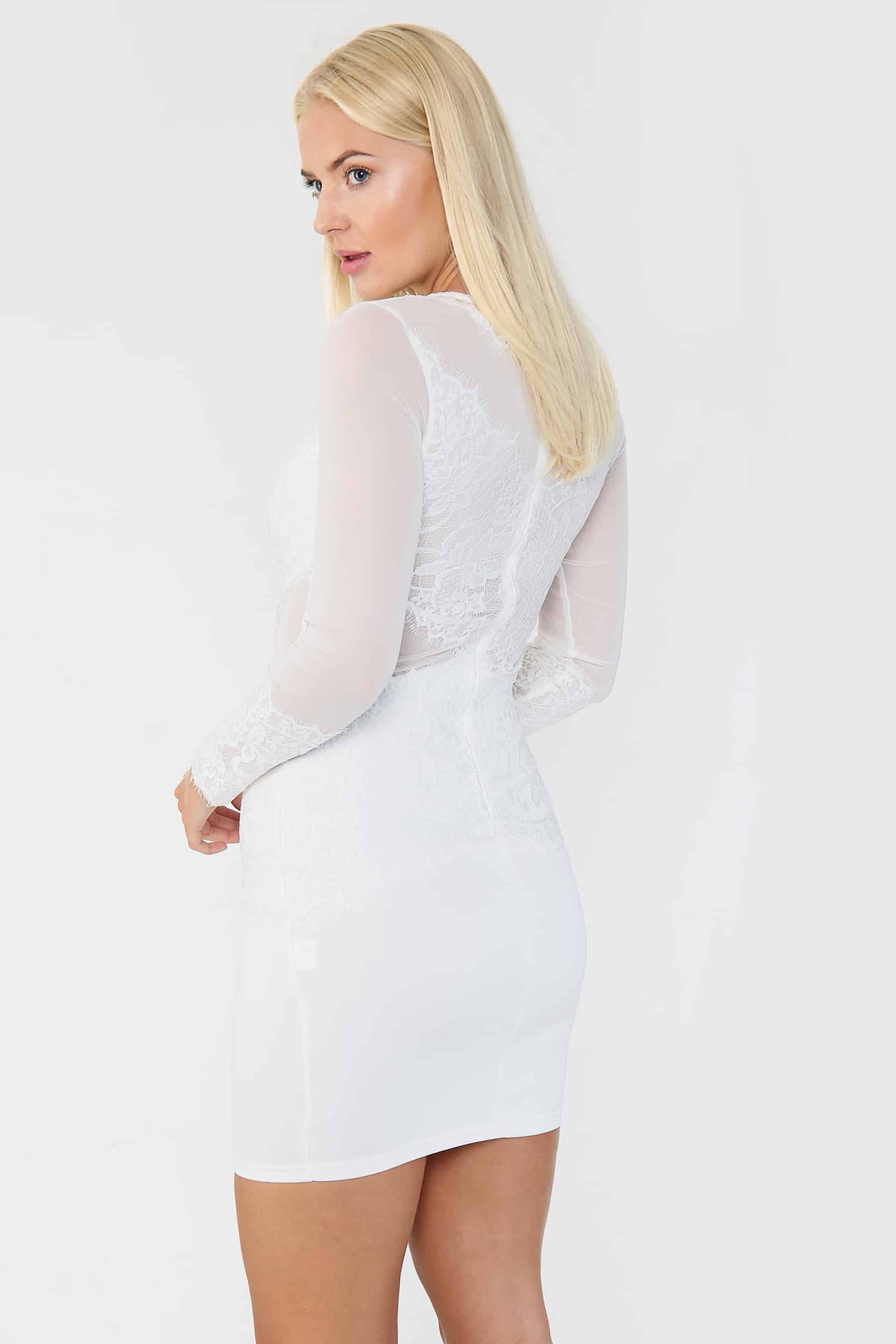 Lace Detail Mesh Bodycon Mini Dress - Bodycon Dress - Avinci