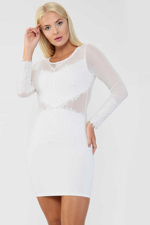 Lace Detail Mesh Bodycon Mini Dress - Bodycon Dress - Avinci