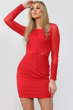 Lace Detail Mesh Bodycon Mini Dress - Bodycon Dress - Avinci